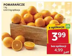 Stokrotka Pomarańcze Stokrotka oferta