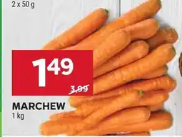 Stokrotka Marchew Stokrotka oferta