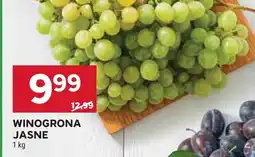 Stokrotka Winogrona jasne Stokrotka oferta