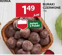 Stokrotka Buraki czerwone Stokrotka oferta
