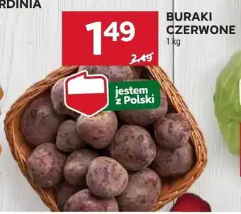 Buraki czerwone Stokrotka