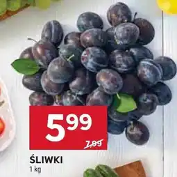 Stokrotka Śliwki Stokrotka oferta