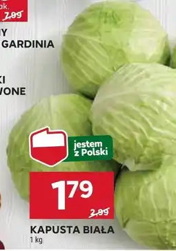 Stokrotka Kapusta biała Stokrotka oferta