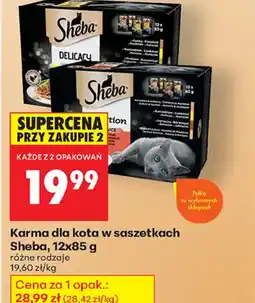 Biedronka Karma dla kota w saszetkach Sheba oferta