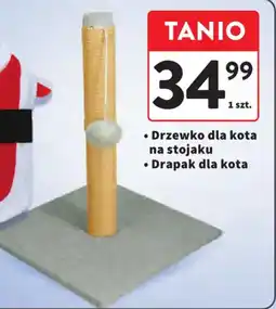 Intermarche Drzewko dla kota na stojaku / Drapak dla kota oferta
