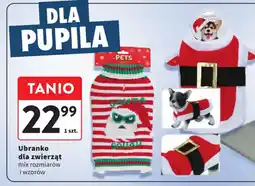 Intermarche Ubranko dla zwierząt oferta