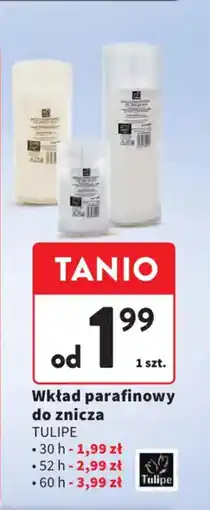 Intermarche Wkład parafinowy do znicza tulipe oferta