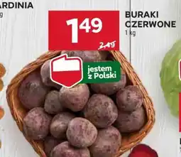 Stokrotka Market Buraki czerwone oferta