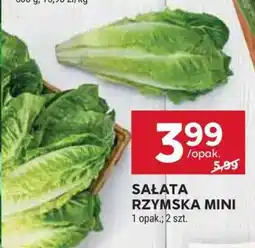 Stokrotka Market Sałata rzymska mini oferta
