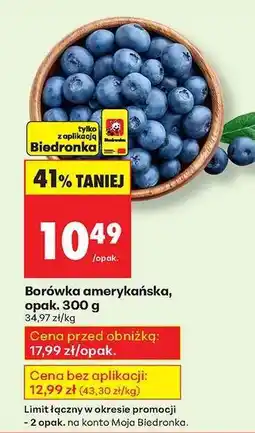 Biedronka Borówka amerykańska opak 300 g oferta