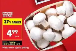 Biedronka Pieczarka opak 500 g oferta