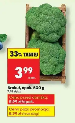 Biedronka Brokuł opak 500 g oferta