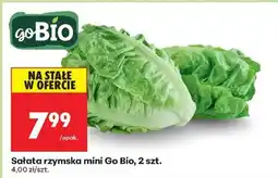 Biedronka Sałata rzymska mini Go Bio, 2 szt oferta