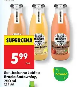 Biedronka Sok Jesienne Jabłko Bracia Sadownicy, 750 ml oferta