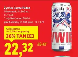 Lidl Żywiec Jasne Pełne oferta
