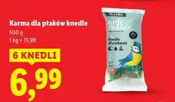 Lidl Karma dla ptaków knedle oferta