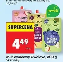 Biedronka Mus jabłko banan śliwka Owolovo oferta