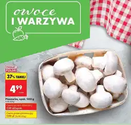 Biedronka Pieczarki polska oferta