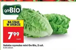 Biedronka Sałata rzymska Gobio oferta
