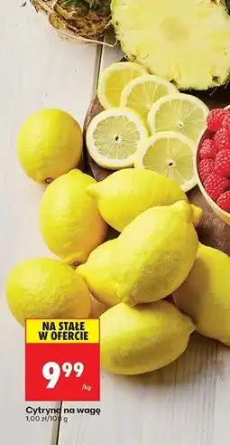 Biedronka Cytryny oferta