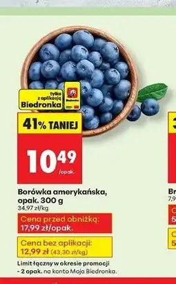 Biedronka Borówki amerykańskie oferta