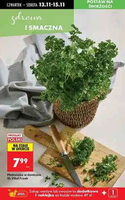 Biedronka Pietruszka Vital Fresh oferta