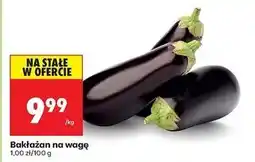Biedronka Bakłażan oferta