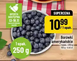 Polomarket Borówki amerykańskie POLOmarket oferta