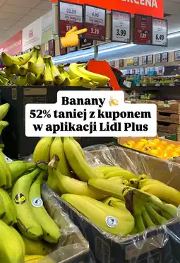 Lidl Banany Lidl oferta