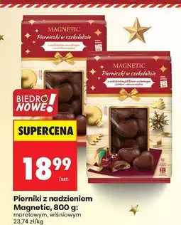 Biedronka Pierniki z nadzieniem morelowym Magnetic oferta