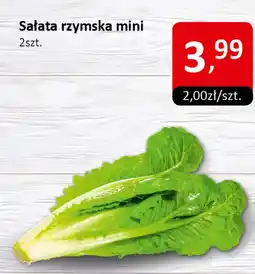Market Point Sałata rzymska mini oferta