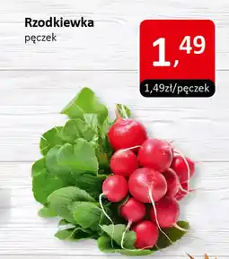 Market Point Rzodkiewka pęczek oferta