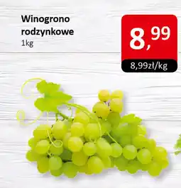 Market Point Winogrono rodzynkowe oferta