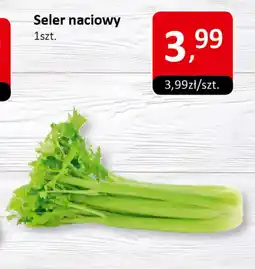 Market Point Seler naciowy oferta