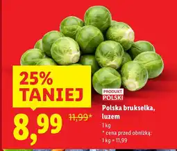Lidl Brukselka Polski oferta