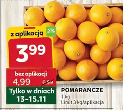 Stokrotka Pomarańcze Stokrotka oferta