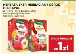 Stokrotka Herbata ekspres herbaciany ogród Herbapol oferta