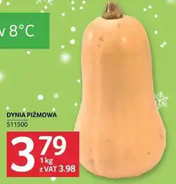 Selgros Dynia piżmowa Selgros oferta