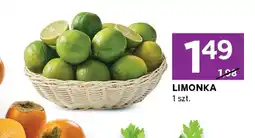 Stokrotka Limonka 1 szt. Stokrotka oferta