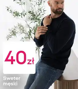 Pepco Sweter męski oferta