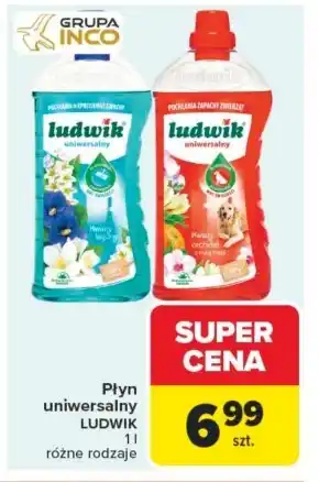 Carrefour Płyn uniwersalny Ludwik oferta
