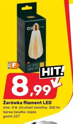 Bricomarche Żarówka Barwa oferta