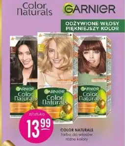 Jaśmin Farba do włosów Naturals oferta