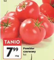 Intermarche Pomidory czerwone oferta