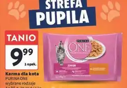 Intermarche Karma dla kota junior z kurczakiem i marchewką Purina One oferta