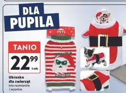 Intermarche Ubranka dla zwierząt świąteczne oferta