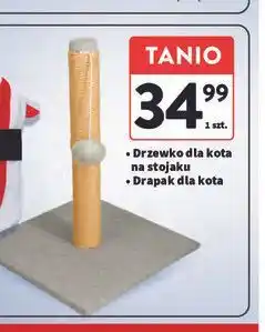 Intermarche Drzewko dla kota na stojaku oferta