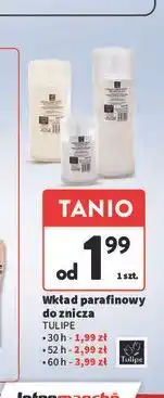 Intermarche Wkład parafinowy do znicza 230 g 60 h Tulipe oferta