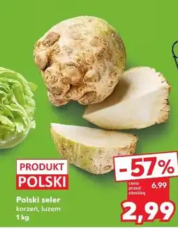 Kaufland Seler korzeń oferta