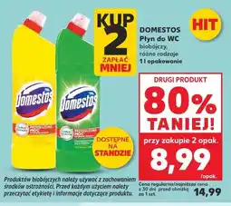 Kaufland Płyn do wc citrus fresh Domestos oferta